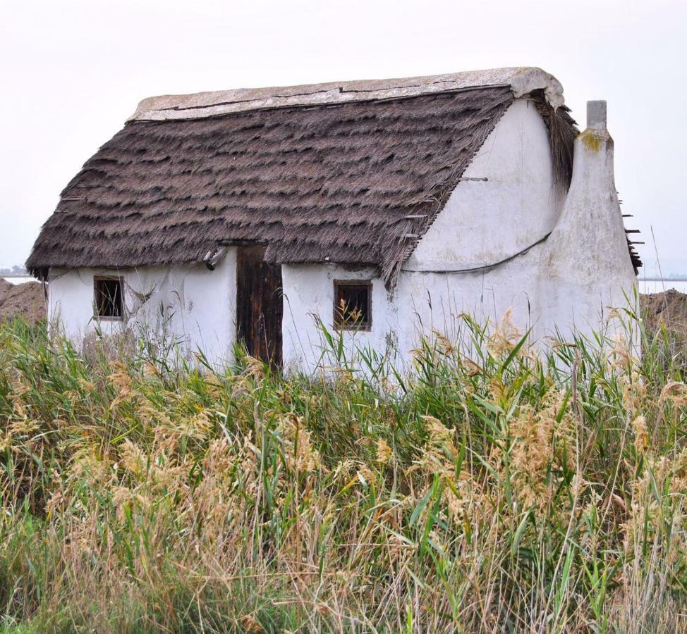 L' Espiga - Casa Rural Deltebre Zewnętrze zdjęcie