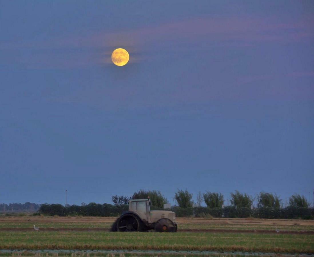L' Espiga - Casa Rural Deltebre Zewnętrze zdjęcie